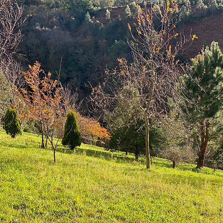 Finca Portizuelo Luarca Esterno foto
