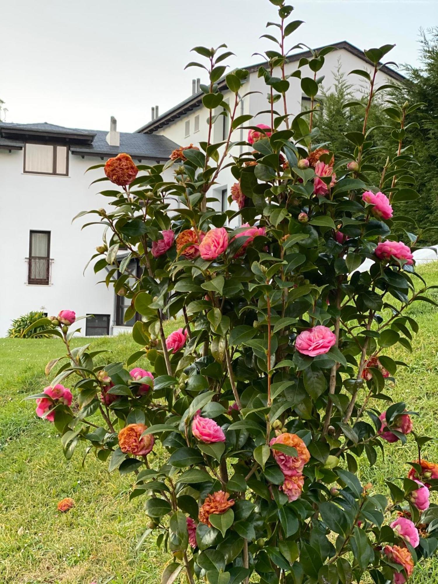 Finca Portizuelo Luarca Esterno foto