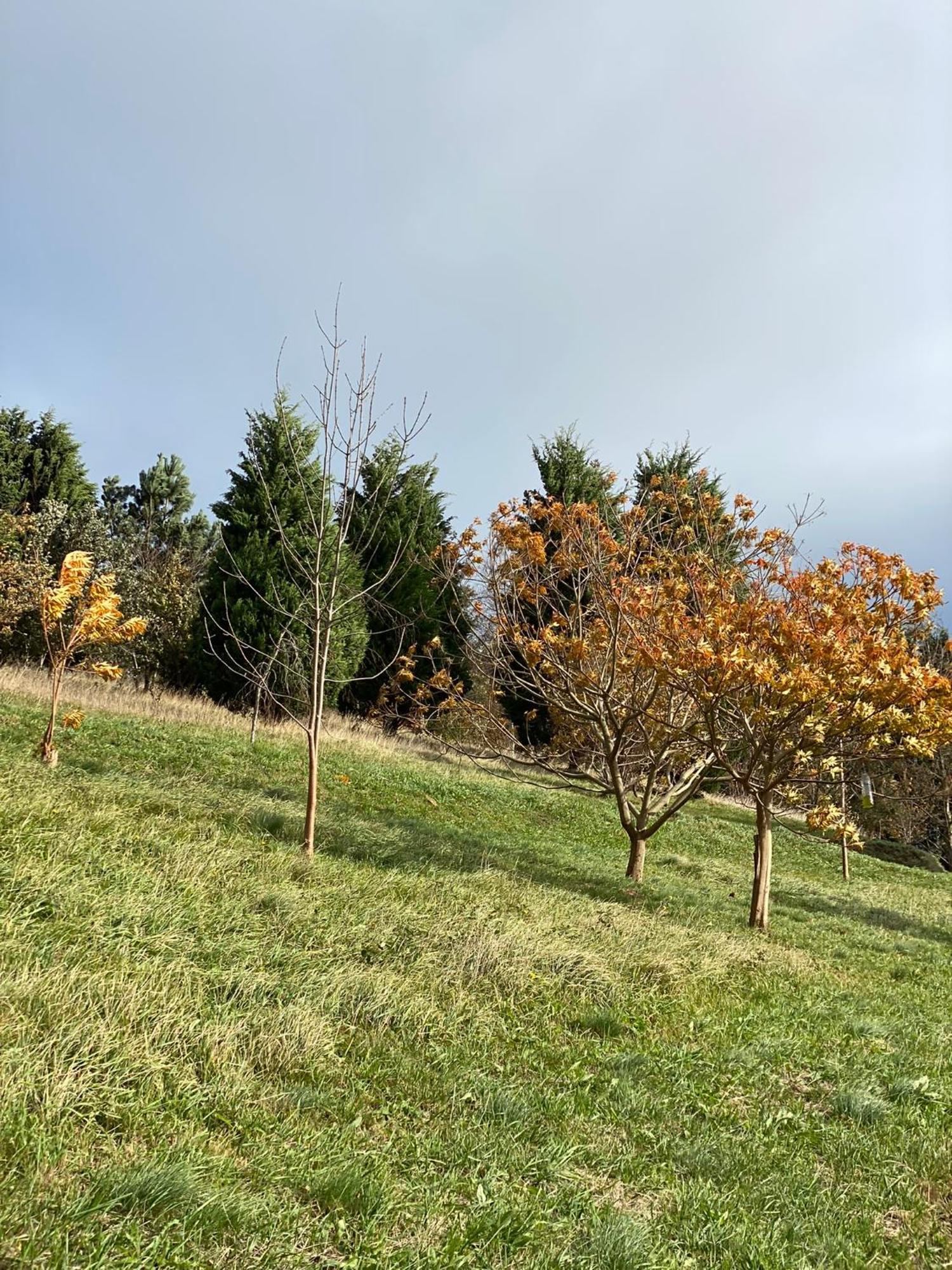 Finca Portizuelo Luarca Esterno foto