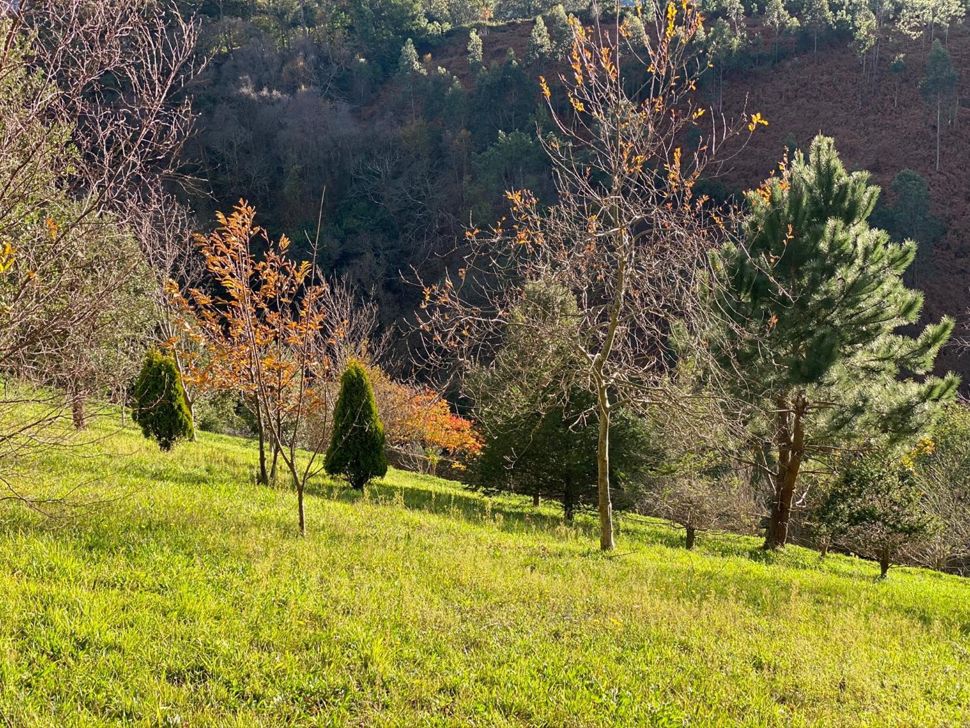 Finca Portizuelo Luarca Esterno foto