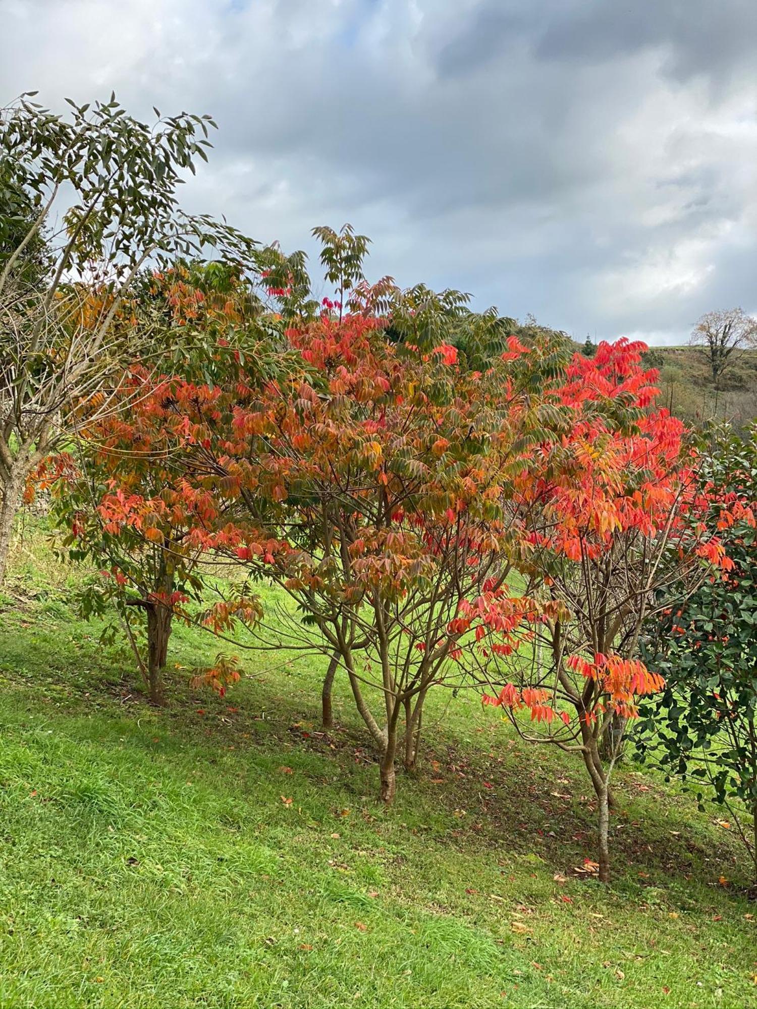 Finca Portizuelo Luarca Esterno foto