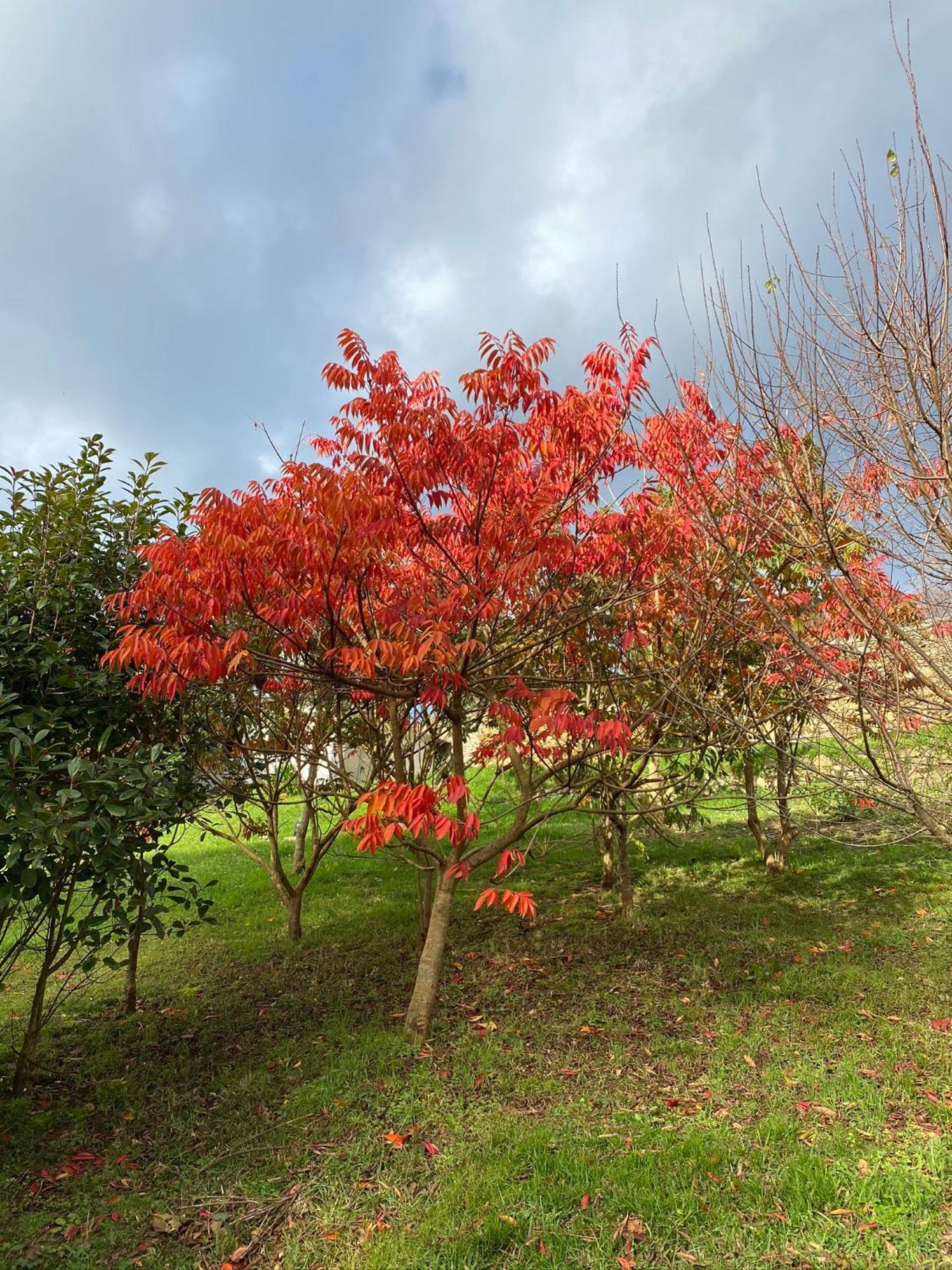 Finca Portizuelo Luarca Esterno foto