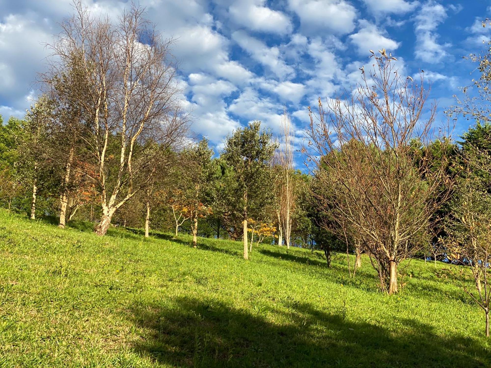Finca Portizuelo Luarca Esterno foto