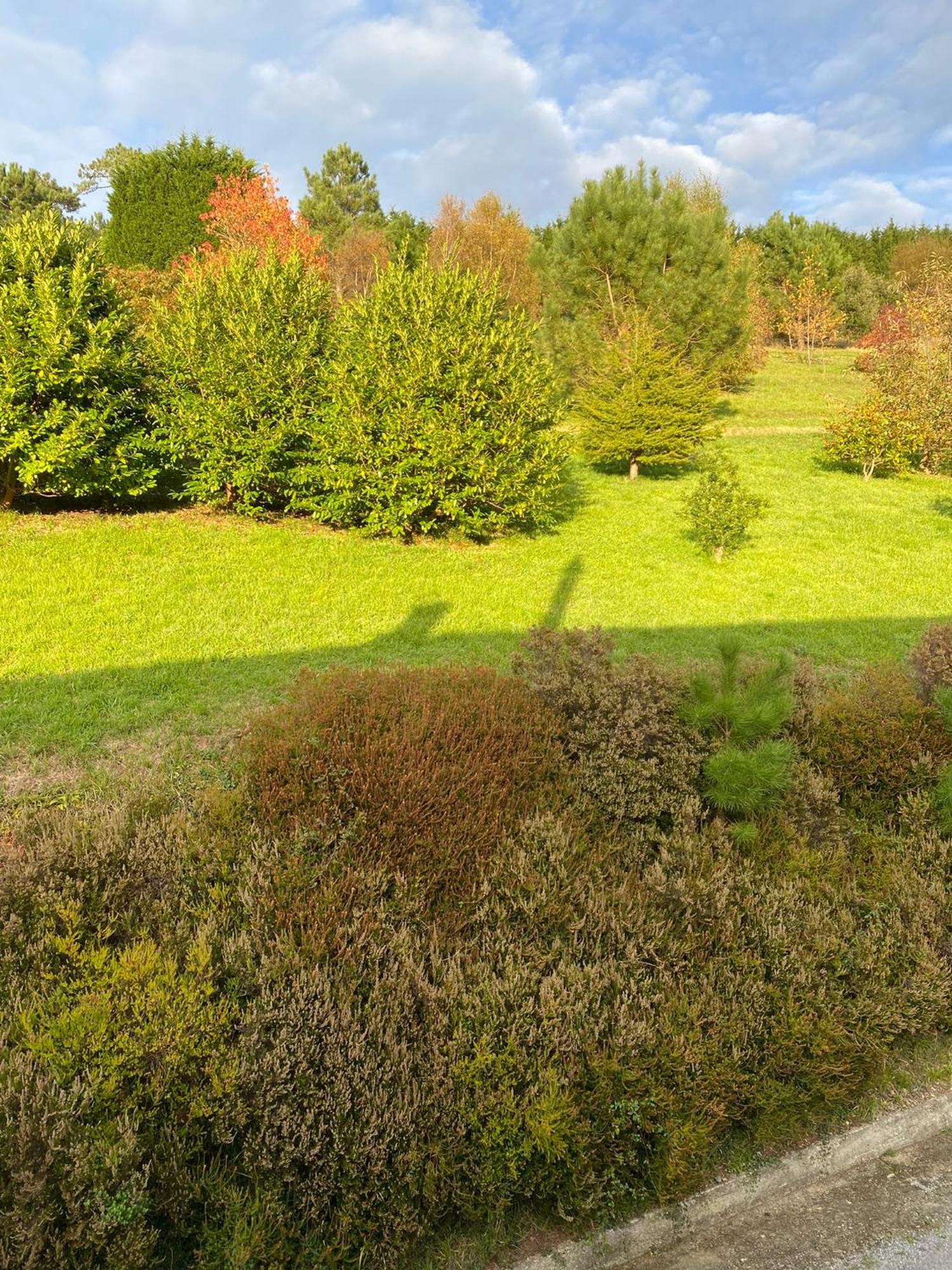 Finca Portizuelo Luarca Esterno foto