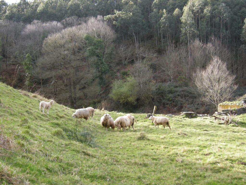 Finca Portizuelo Luarca Esterno foto
