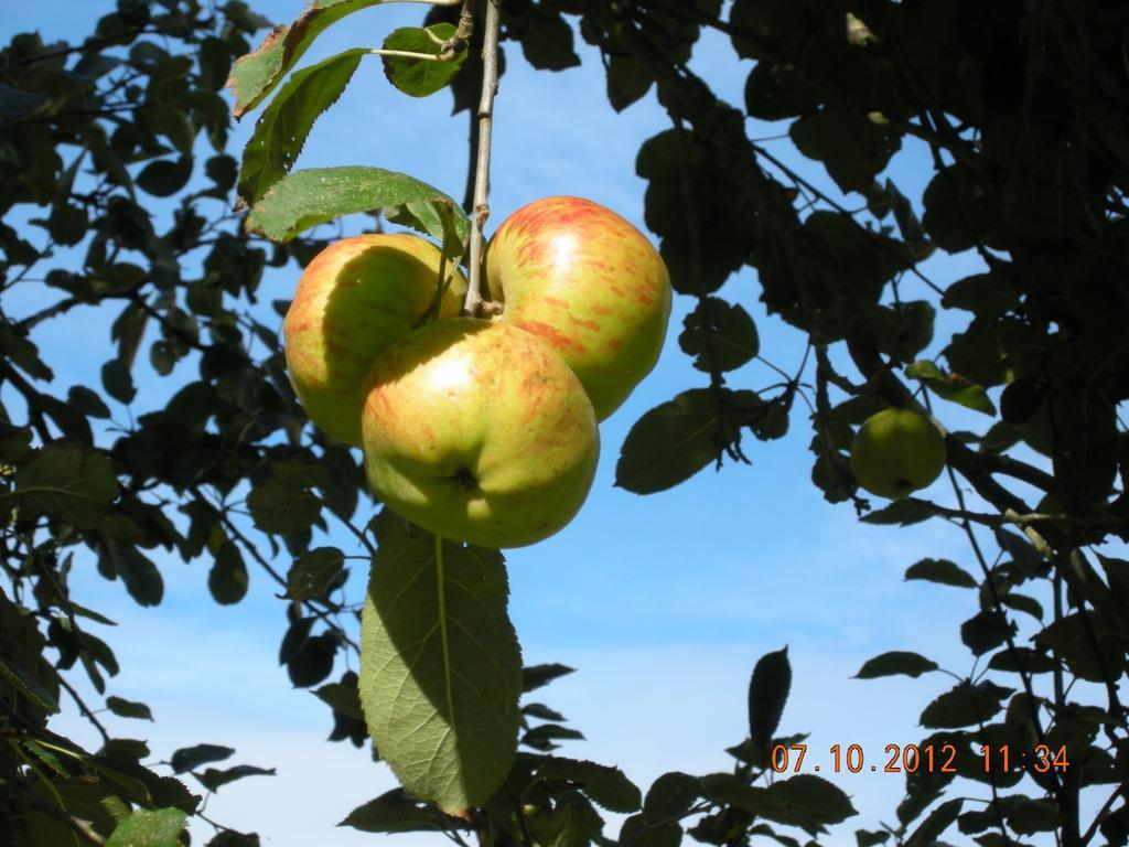 Finca Portizuelo Luarca Esterno foto