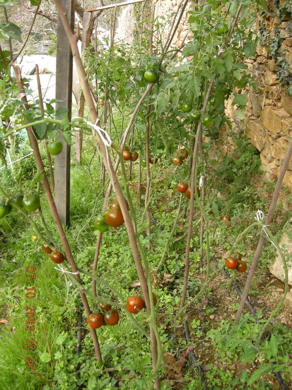 Finca Portizuelo Luarca Esterno foto