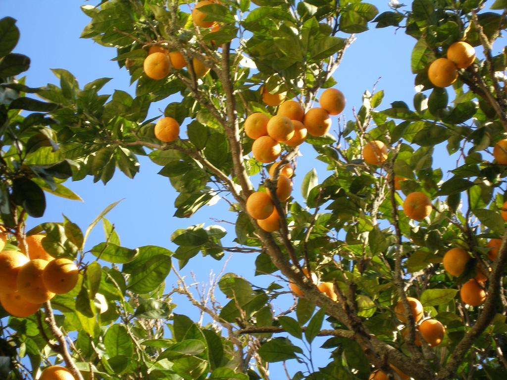 Finca Portizuelo Luarca Esterno foto